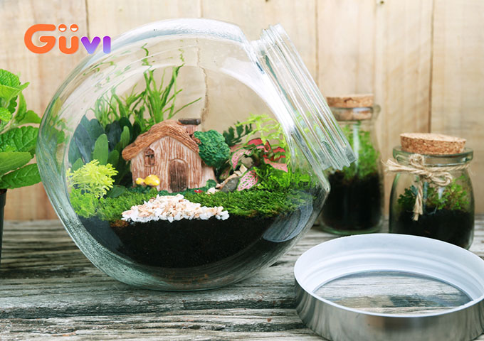 Bình terrarium từ các chai lọ thủy tinh