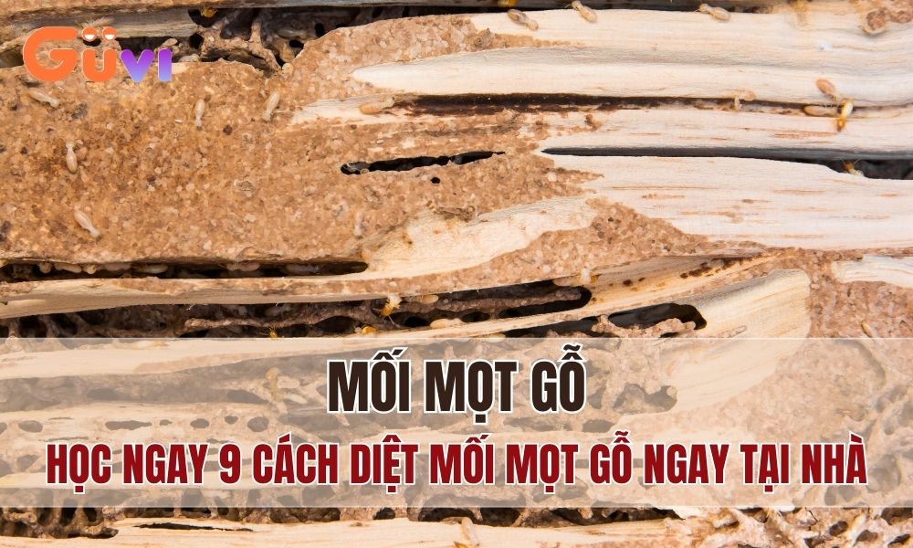 cach diet moi mot go tai nha