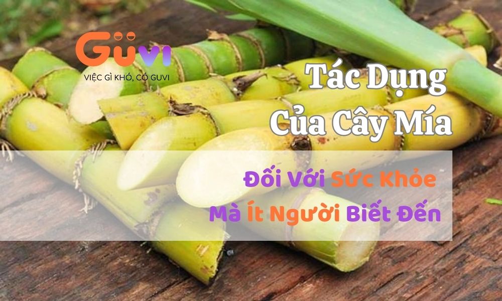 tac dung cua cay mia 5