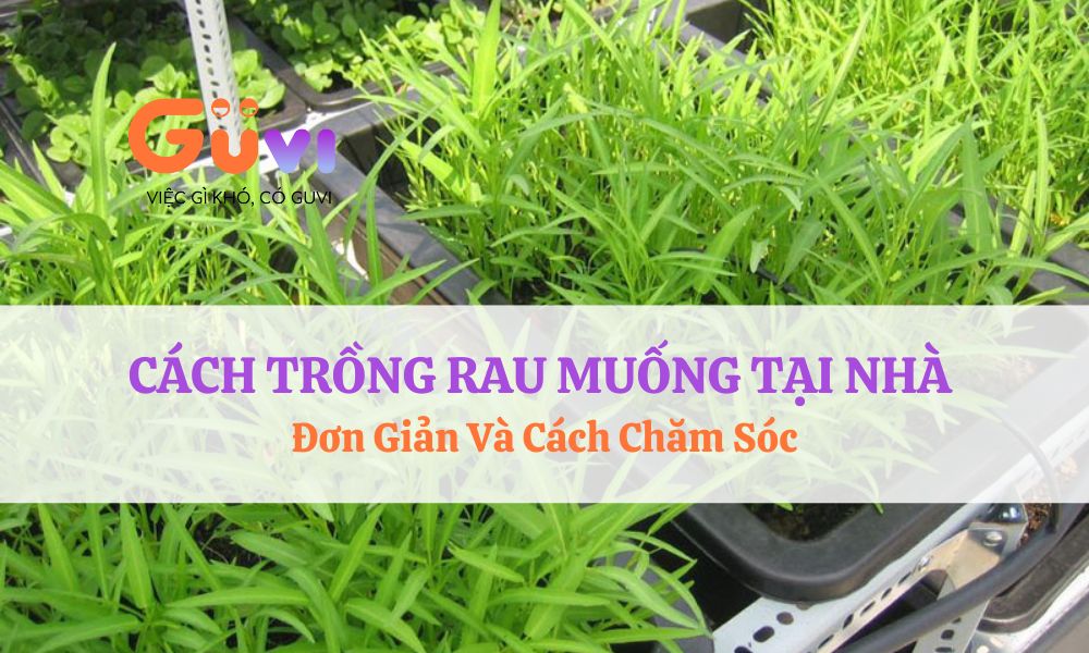 rau muong