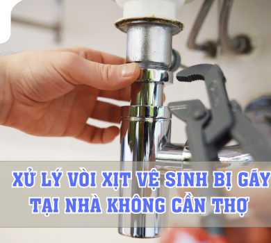 xu ly voi xit ve sinh bi gay 1