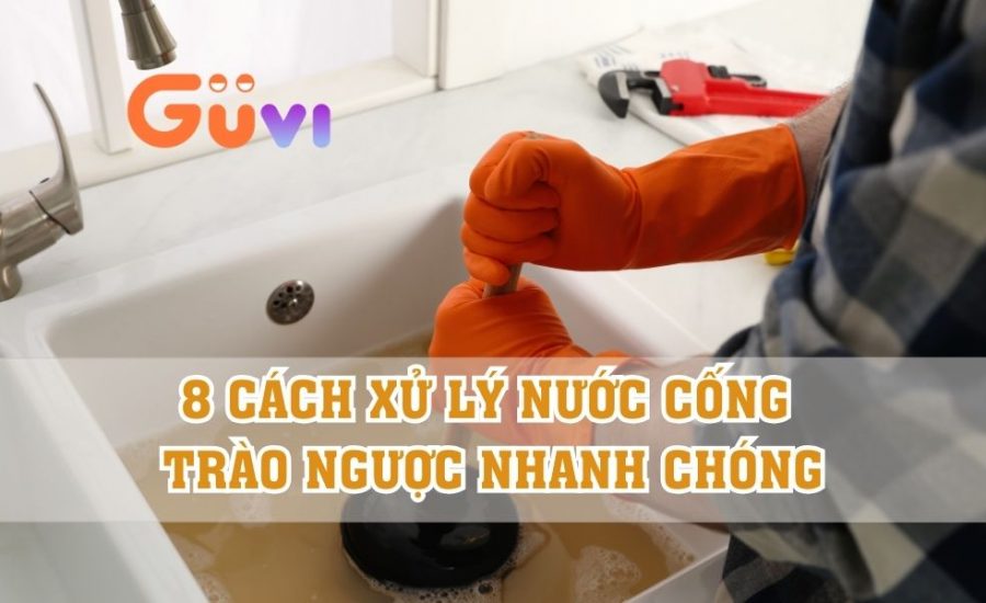 cách xử lý nước cống trào ngược