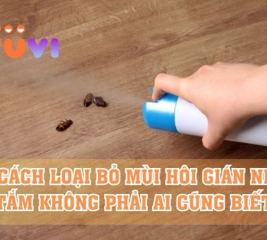 loại bỏ mùi hôi gián nhà tắm